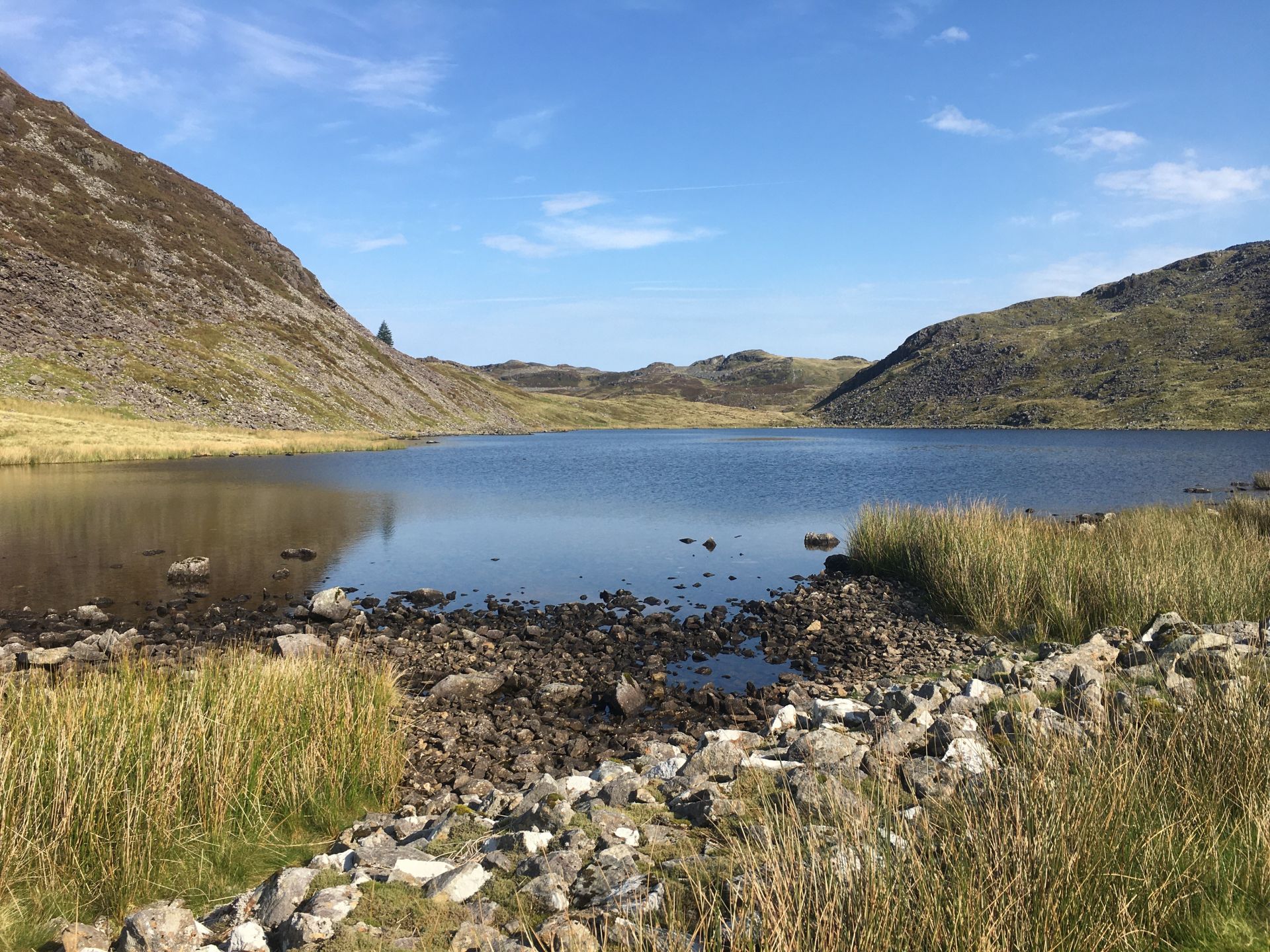 Llyn y Manod